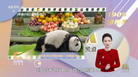 九月丁香婷婷